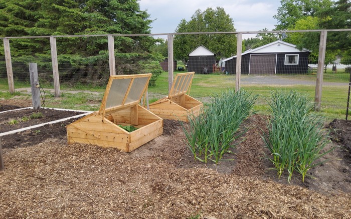 Cold Frames Progress